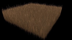 Applying the forward transform and interpreting the real values as the height map.